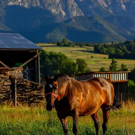 Siedlisko U Magdy Z Widokiem Na Tatry Chalet Zakopane
