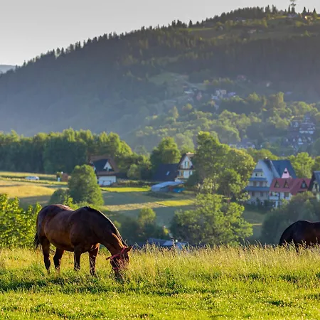 シャレー Siedlisko U Magdy Z Widokiem Na Tatry ザコパネ